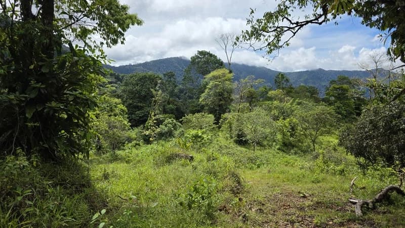116-Hectare Finca for Sale Near Uvita with Whales Tail Views and 10 Waterfalls | La Faralla, Bahia Ballena, Uvita, Puntarenas, Costa Rica - photo 32