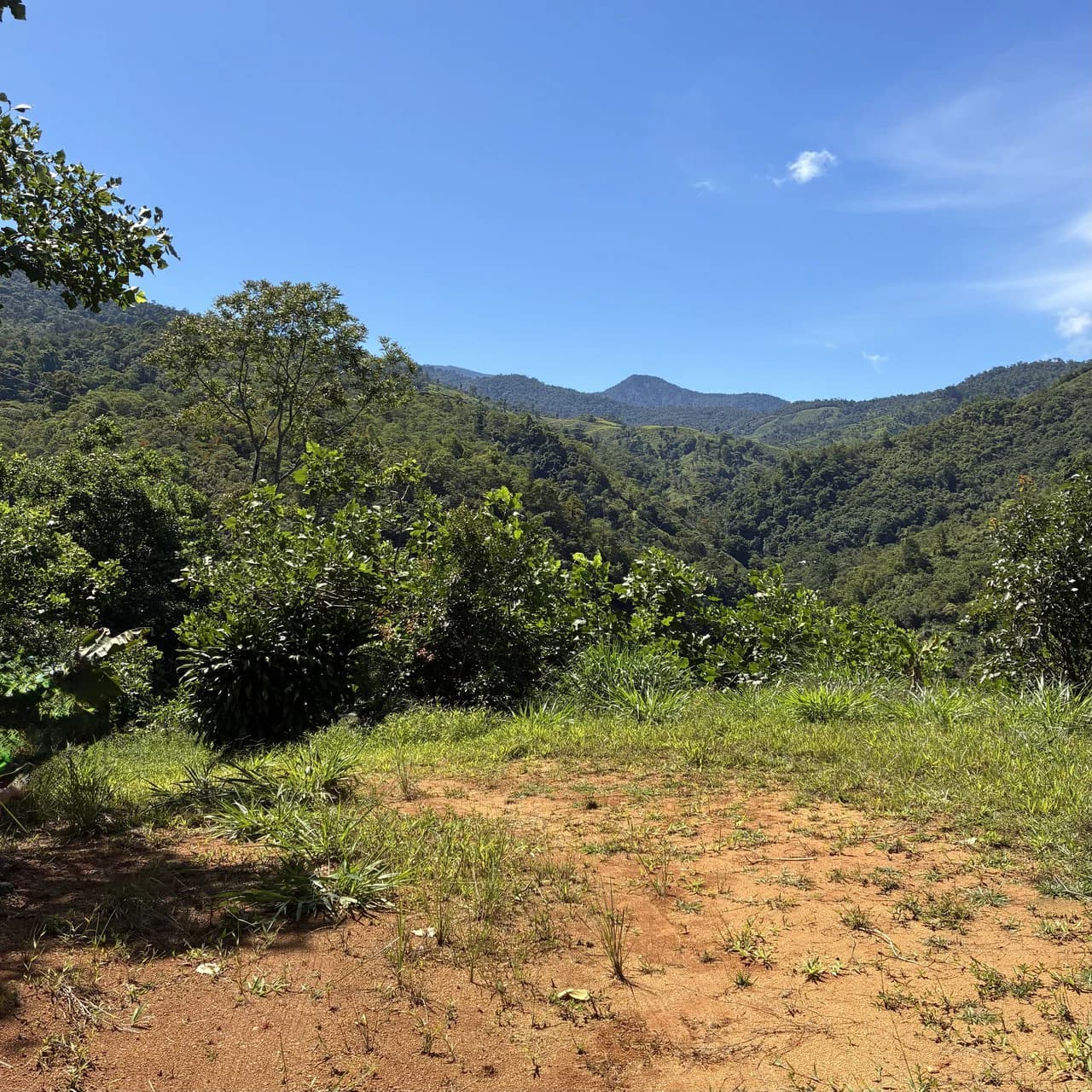 Breathtaking Mountain View Estate in Chimirol, Pérez Zeledón — 1.4 Hectares of Privacy, Nature & Potential: Mountain Home Construction Site For Sale in Chimirol - photo 6