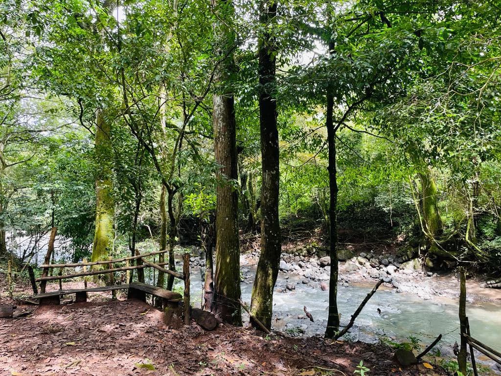Farm for sale Puriscal Close to Universidad para la Paz Costa Rica - photo 11