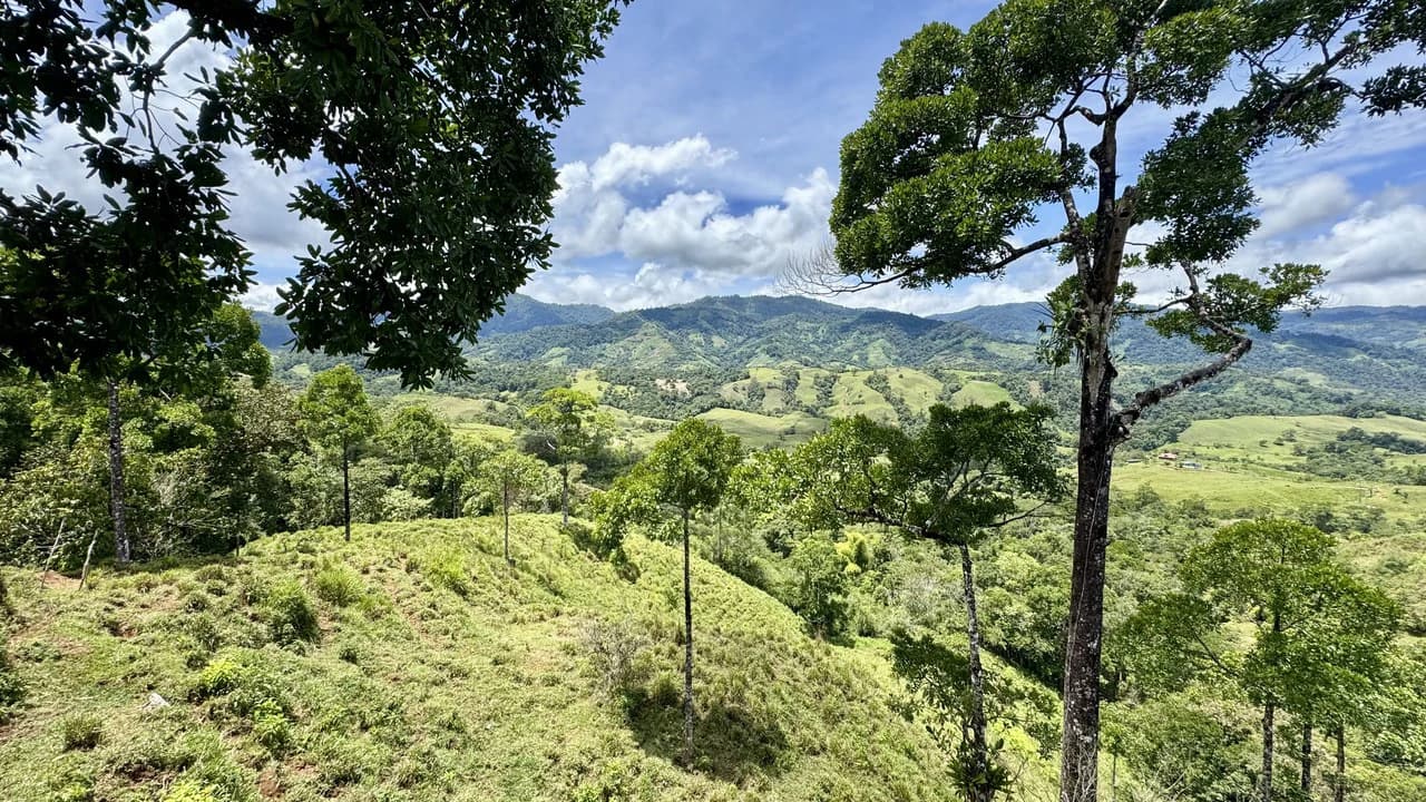 Spring, Waterfalls and more! Farm in San Vito Limoncito! - photo 19
