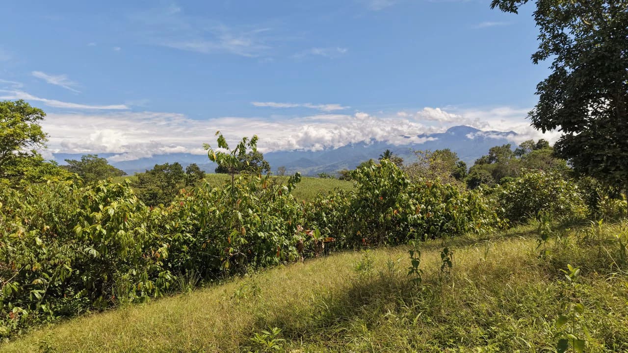 Home Construction Site For Sale in Cajón - photo 2