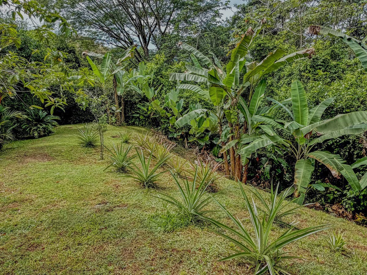 0.8 ACRES- 2 Bedrooms w/ Conversion Potential to 3 Bedrooms, 2 Full Bathrooms, Saltwater Pool, 8min to Dominical, and TWO 4×4 Vehicles Included!!! - photo 43