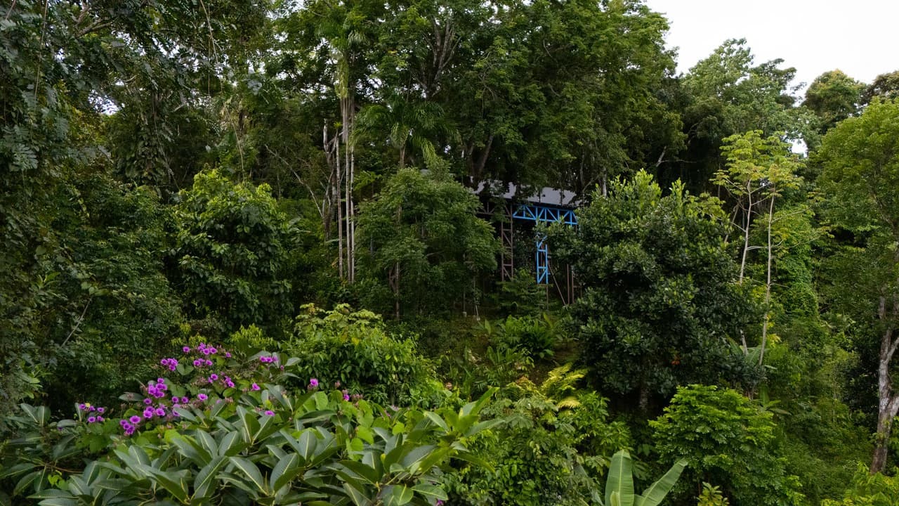Prime Location 2 Bedroom House Observation Deck - photo 49