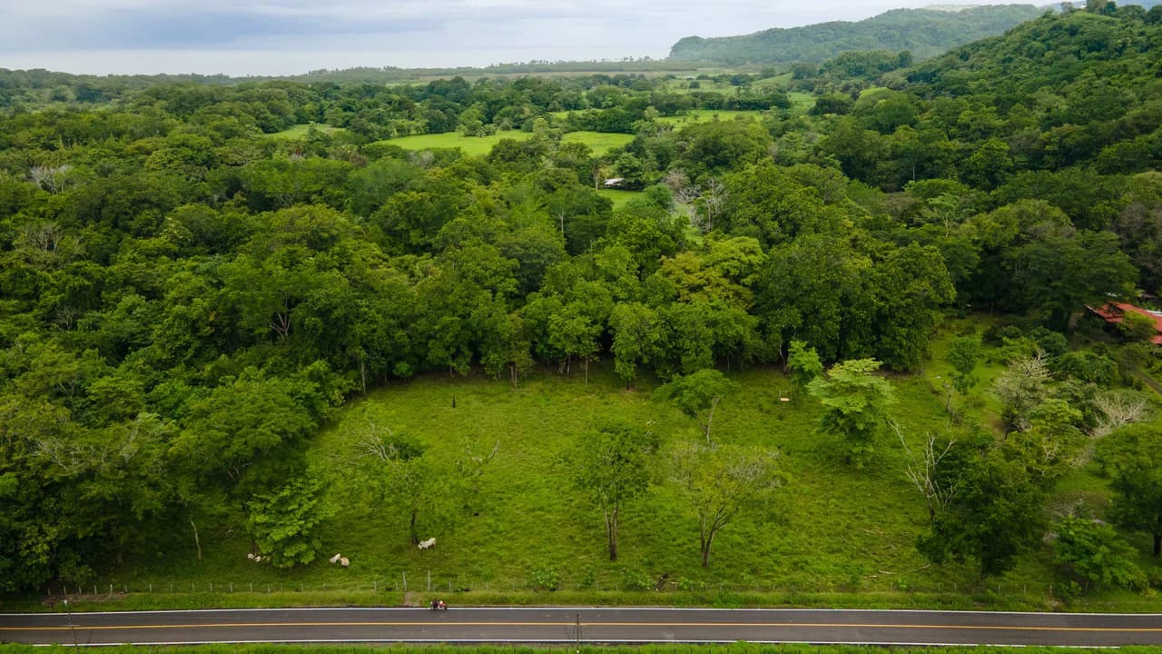 Exceptional Nearly 3-Hectare Property in Pueblo Nuevo, Bejuco, Guanacaste - photo 4