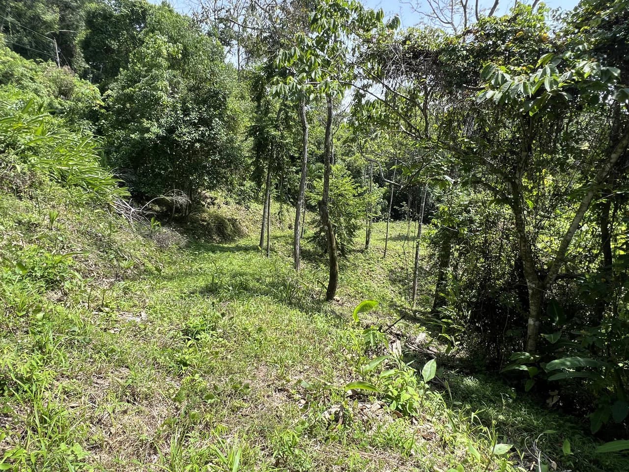 Affordable Home Building Site in Lagunas - photo 5