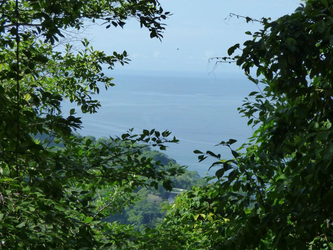 Devin: Custom Amazing Ocean View Home in Gated Community - photo 21