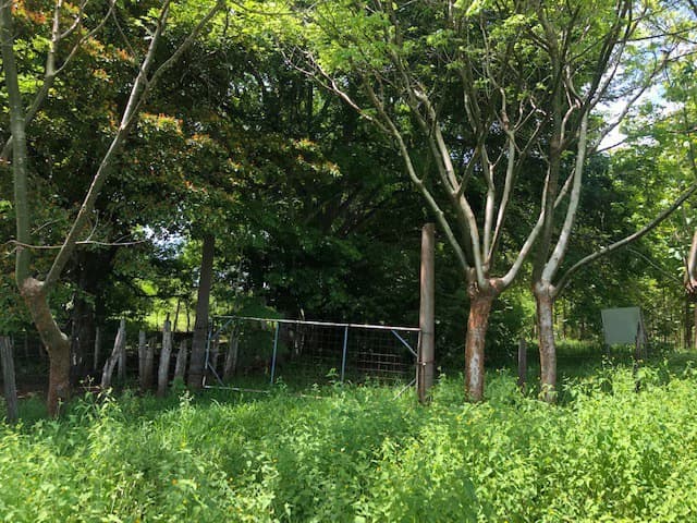 Amazing 50% discount for Huge ocean-view farm for sale surrounded by soft rolling hills and pristine nature - photo 31