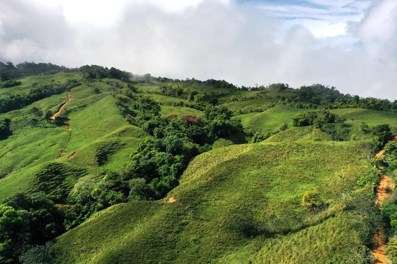 150 Acre Cattle Ranch with Panoramic Views Above the mountains of Uvita - photo 7
