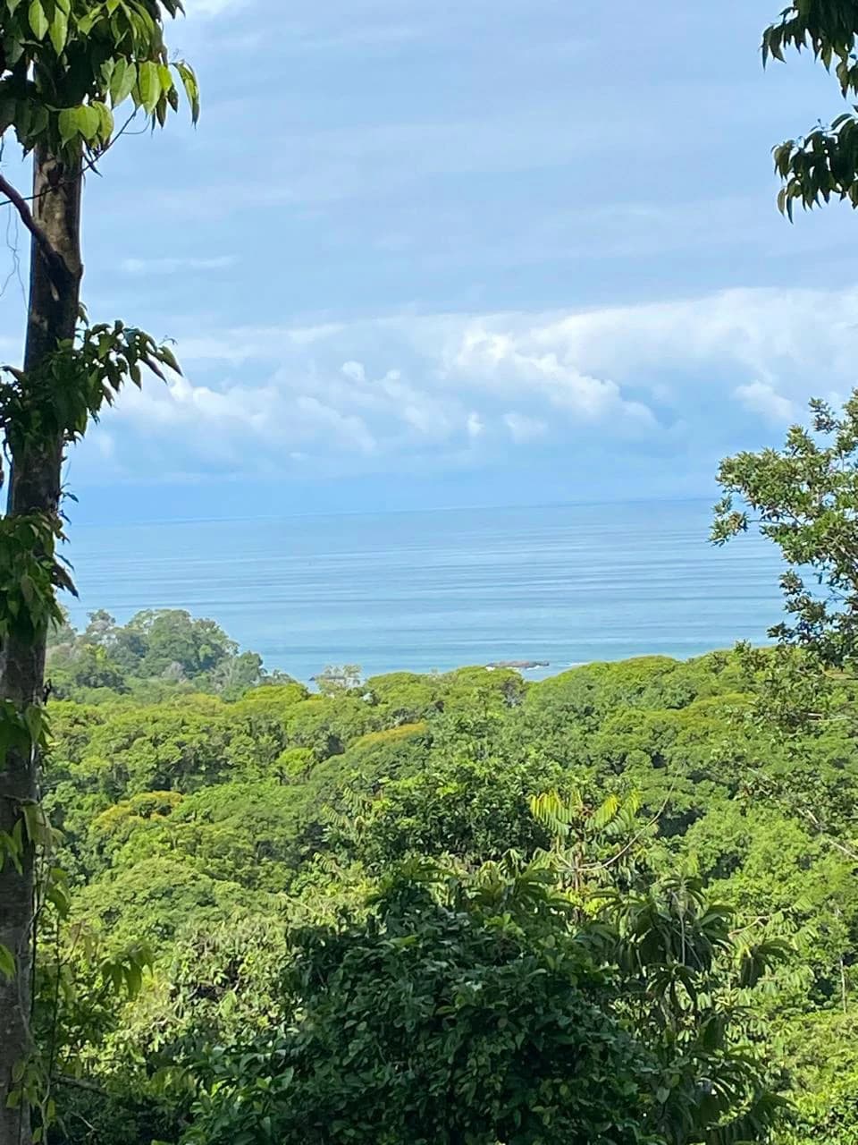 Spectacular Ocean view on 7.7 acres: Mountain Home Construction Site For Sale in Bahía Ballena - photo 3