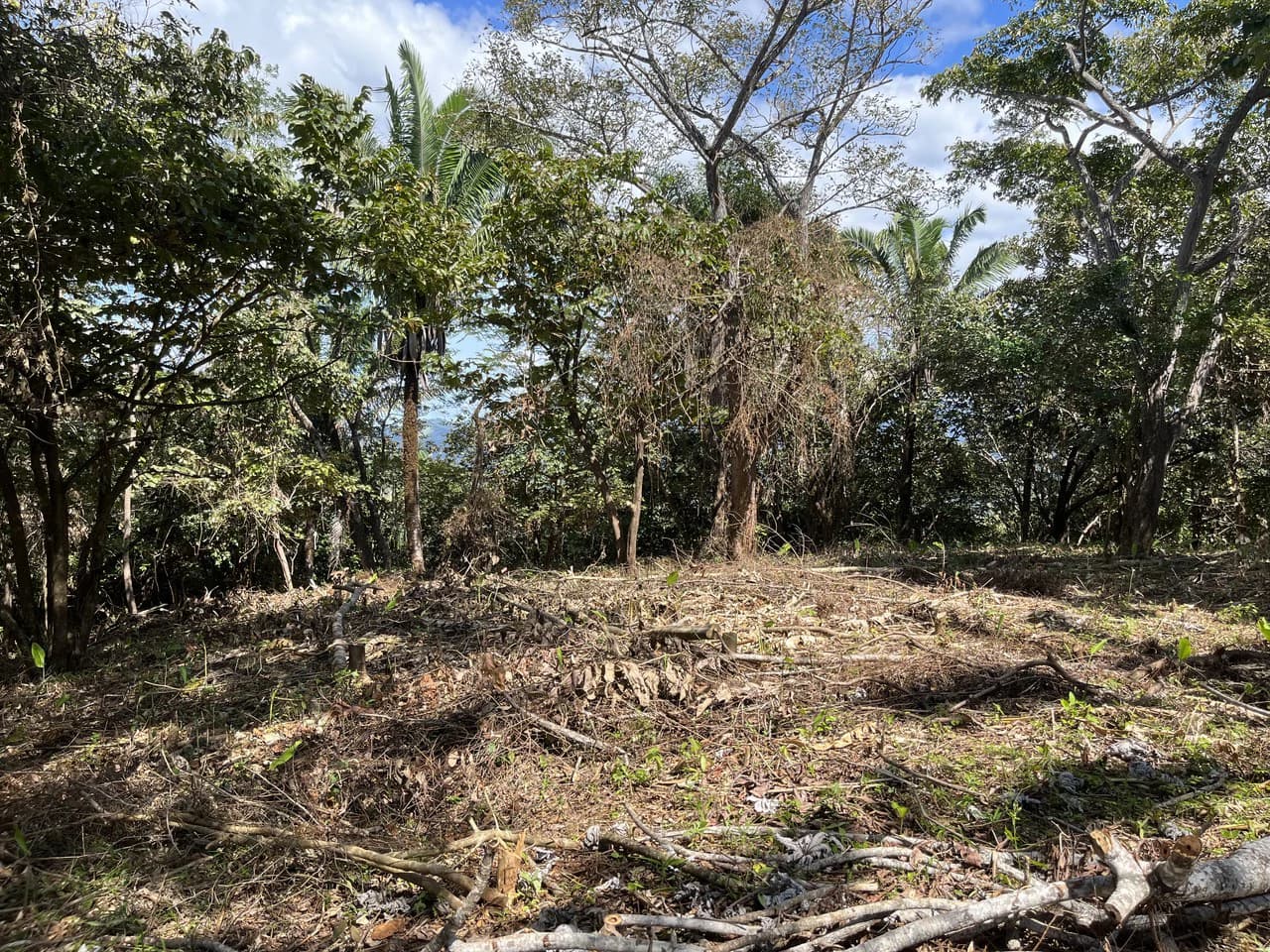 Lot 74 Montana: Beautiful Ocean View - photo 3