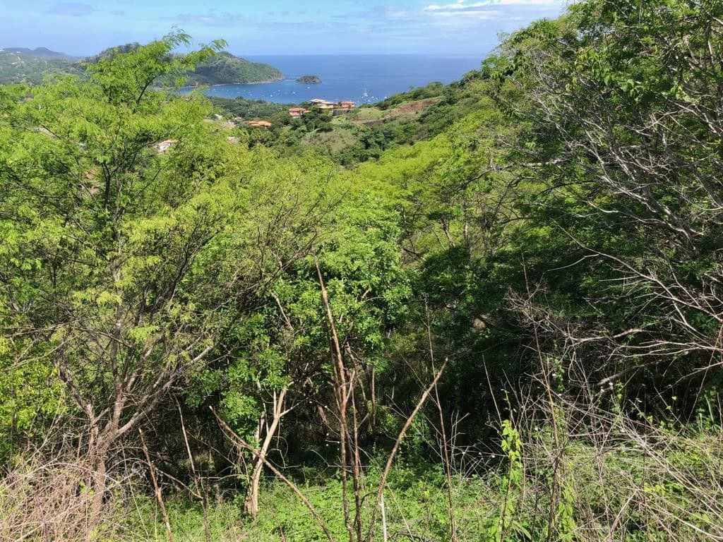 Property with spectacular ocean view - Playas del Coco - photo 6