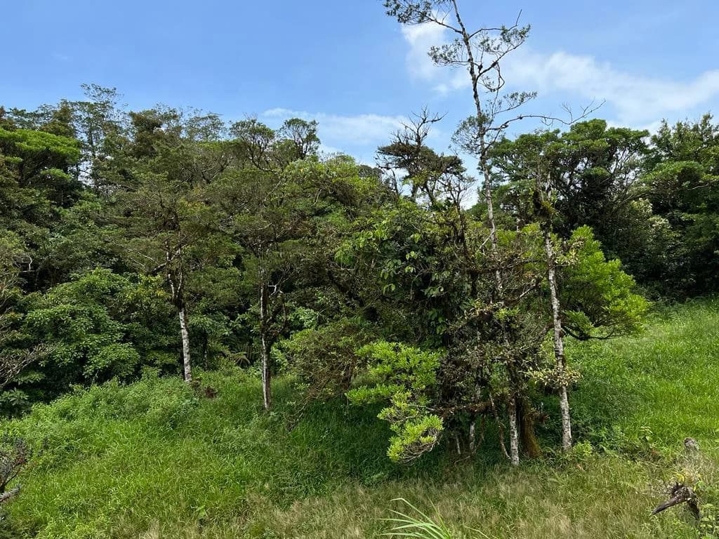 Fantastic property near Biological Reserve