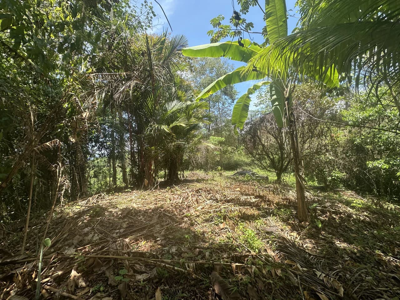 Ocean View Estate Lot with Private Waterfall – Uvita - photo 13