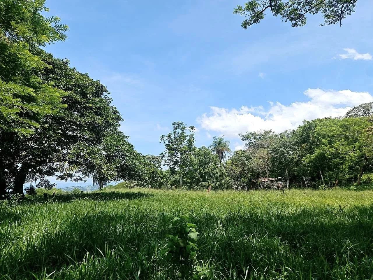 Near the Coast and Mountain Home Construction Site For Sale in Orotina y Caldera - photo 17