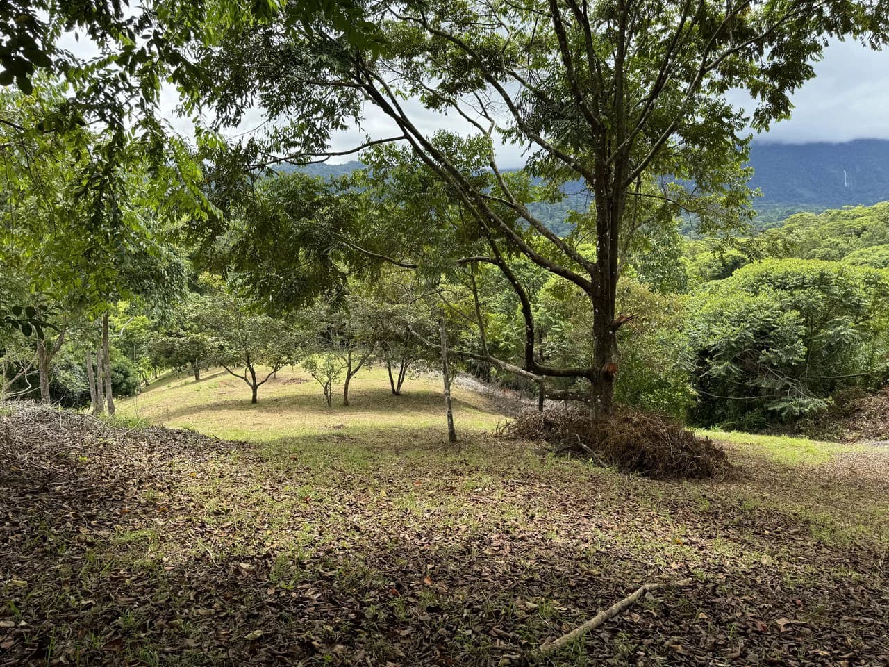 Diamante Waterfall View Land in Dominical 2.9 Acres - photo 29