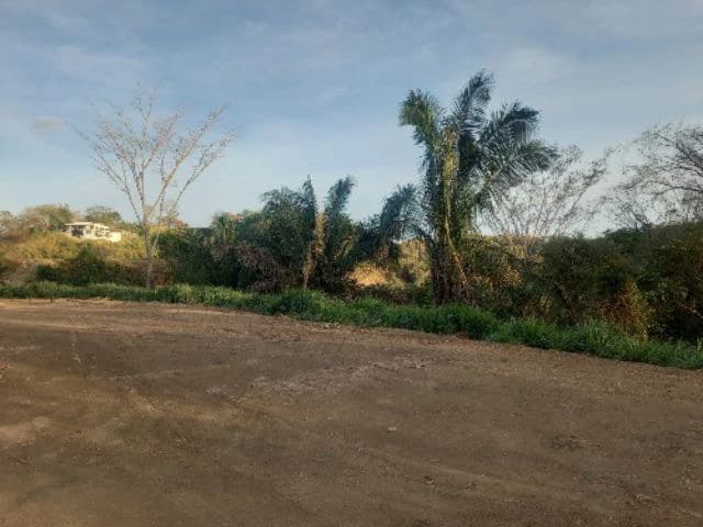 Building Lot for sale in a pristine and soothing woodland 3 km from Samara Beach - photo 4