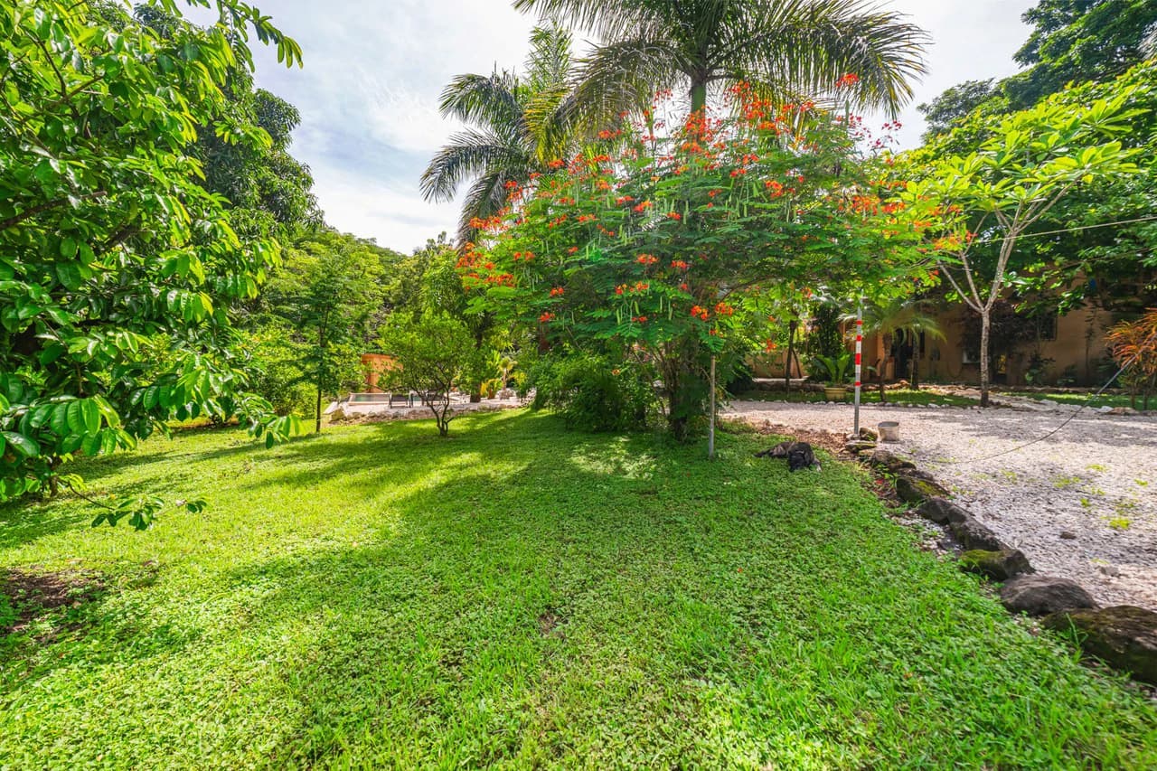 Casa La Jolla: Charming Oasis in Los Pargos - photo 17