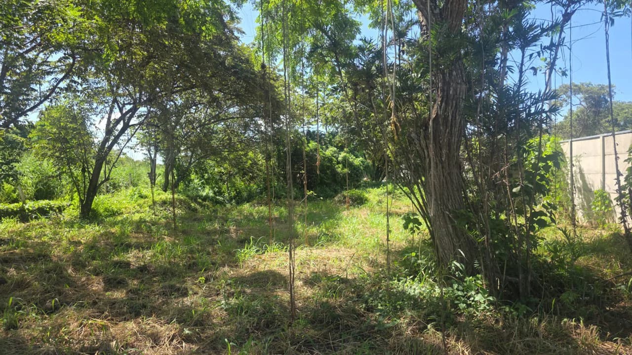 Commercial Airport property for sale with public road frontage on route #21, close to Liberia International Airport - photo 4