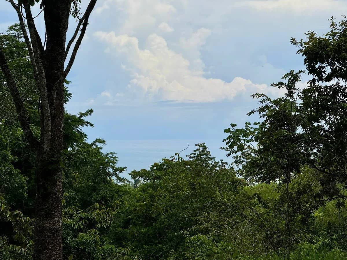 0.7 ACRES – Ocean View Lot With Creek Access, Public Road Frontage, All Utilities!!! - photo 1