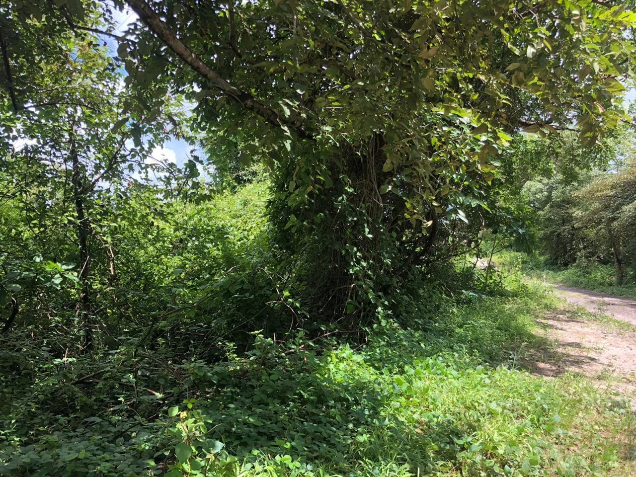 Development property for sale, Building project opportunity close to Liberia Airport and City with beautiful Flat property - photo 7