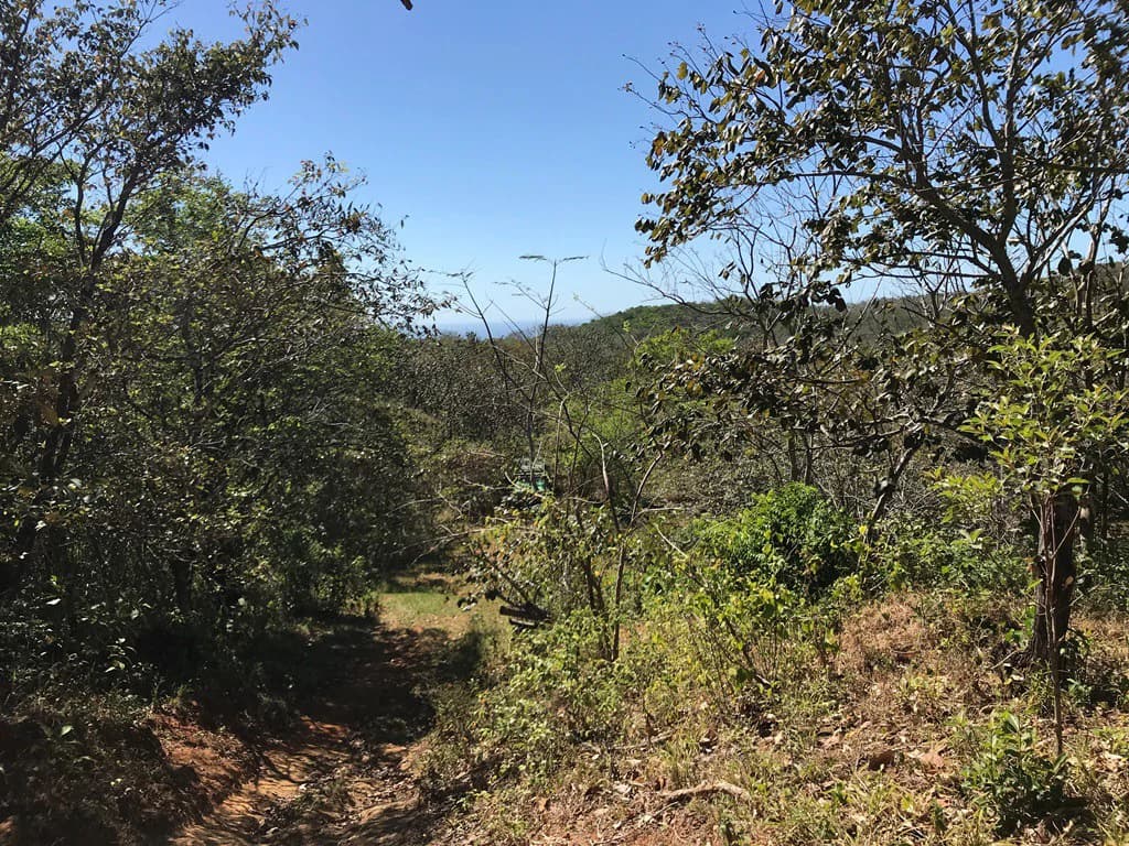 Ocean view farm for sale in the mountains of San Juanillo - photo 15