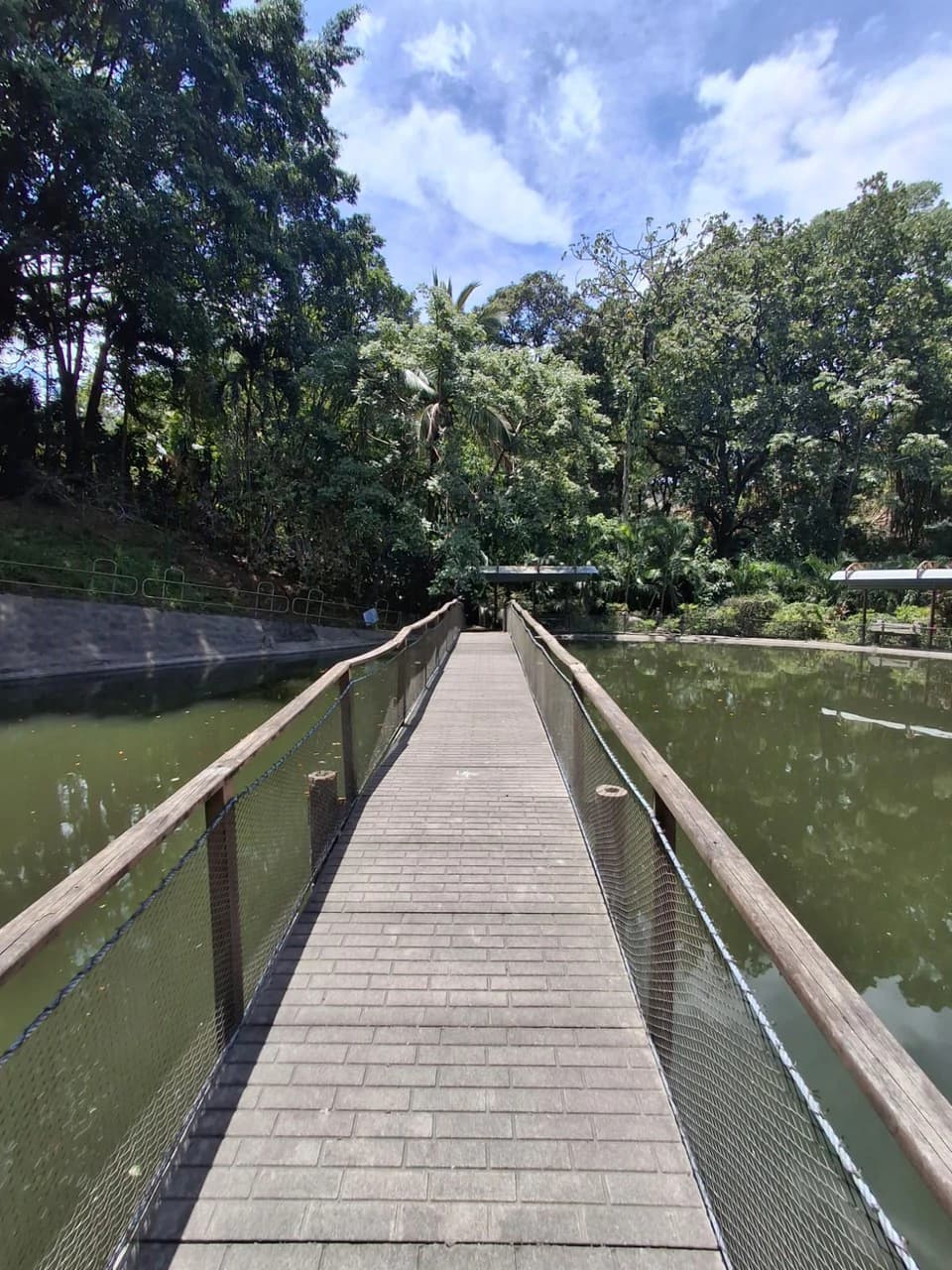 Large-Scale Investment: 108 ha. Industrial Rock Quarry & Diversified Investment Property - photo 26