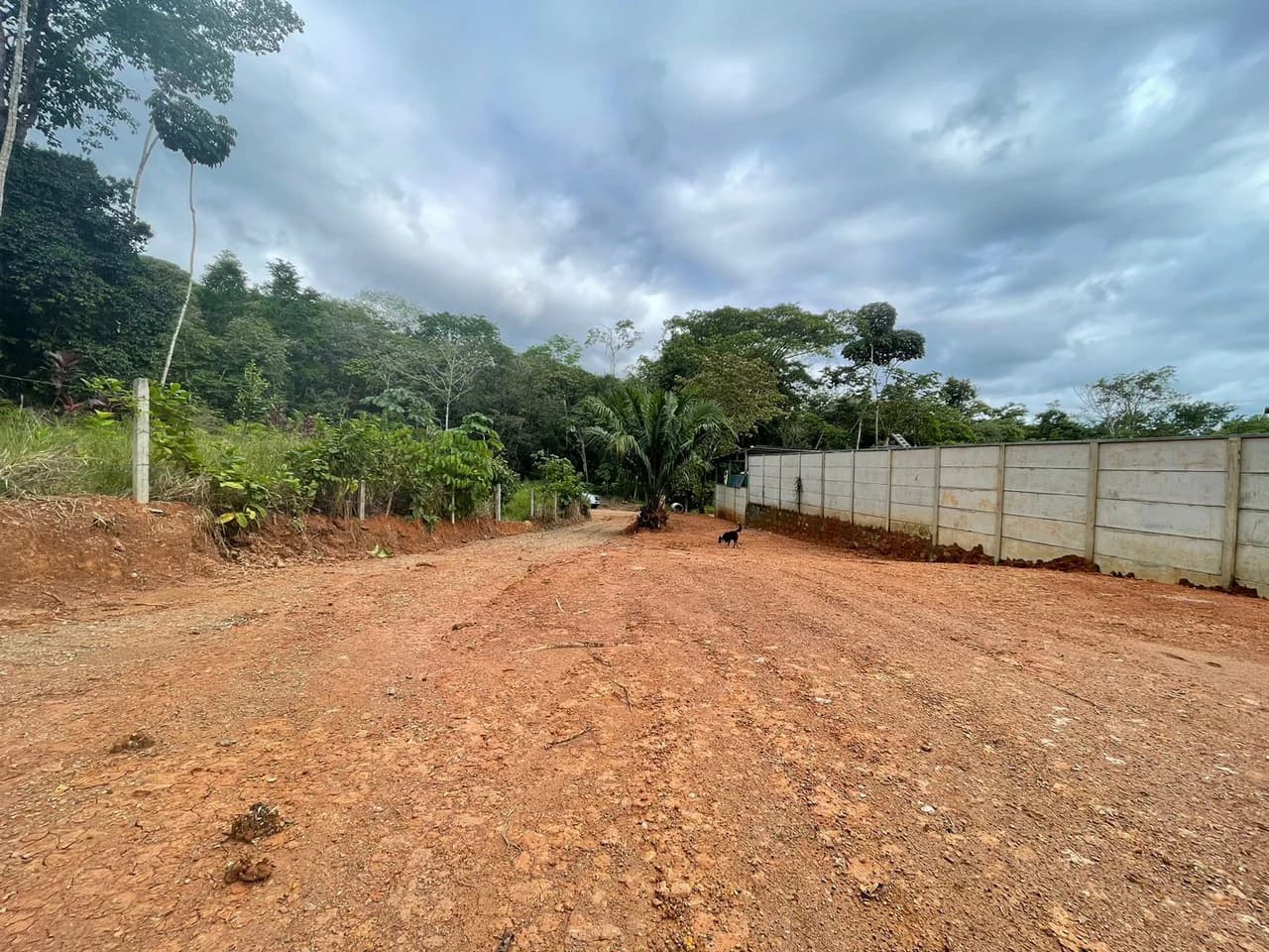 "Serene Land in Uvita: Opportunity Ready to Build" - photo 6