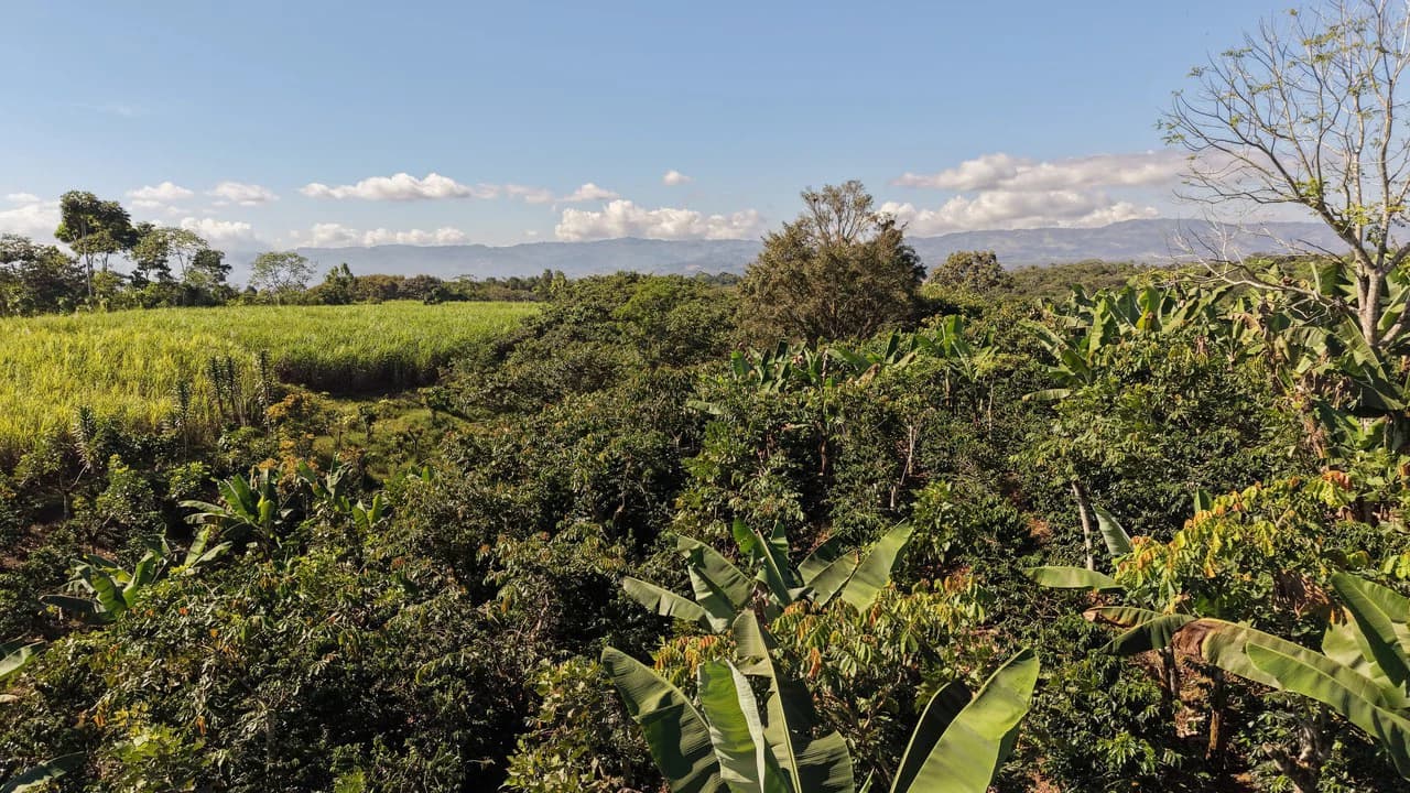 Countryside Home Construction Site For Sale in Santa Elena - photo 2