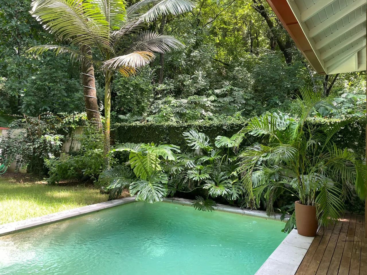 Casa Gala: New Modern and Tropical House Steps Away from Downtown and the Beach! - photo 2