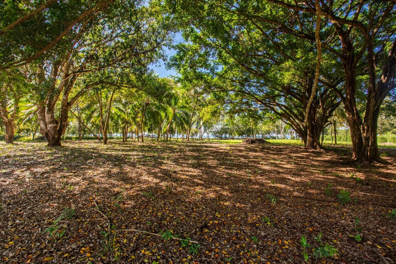 Exclusive Beachfront Opportunity south of Manuel Antonio Costa Rica - photo 17