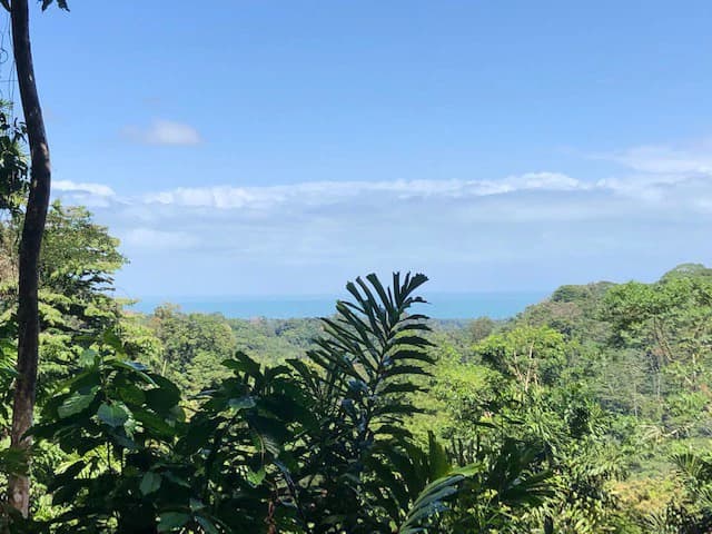 Ocean View Dream Property