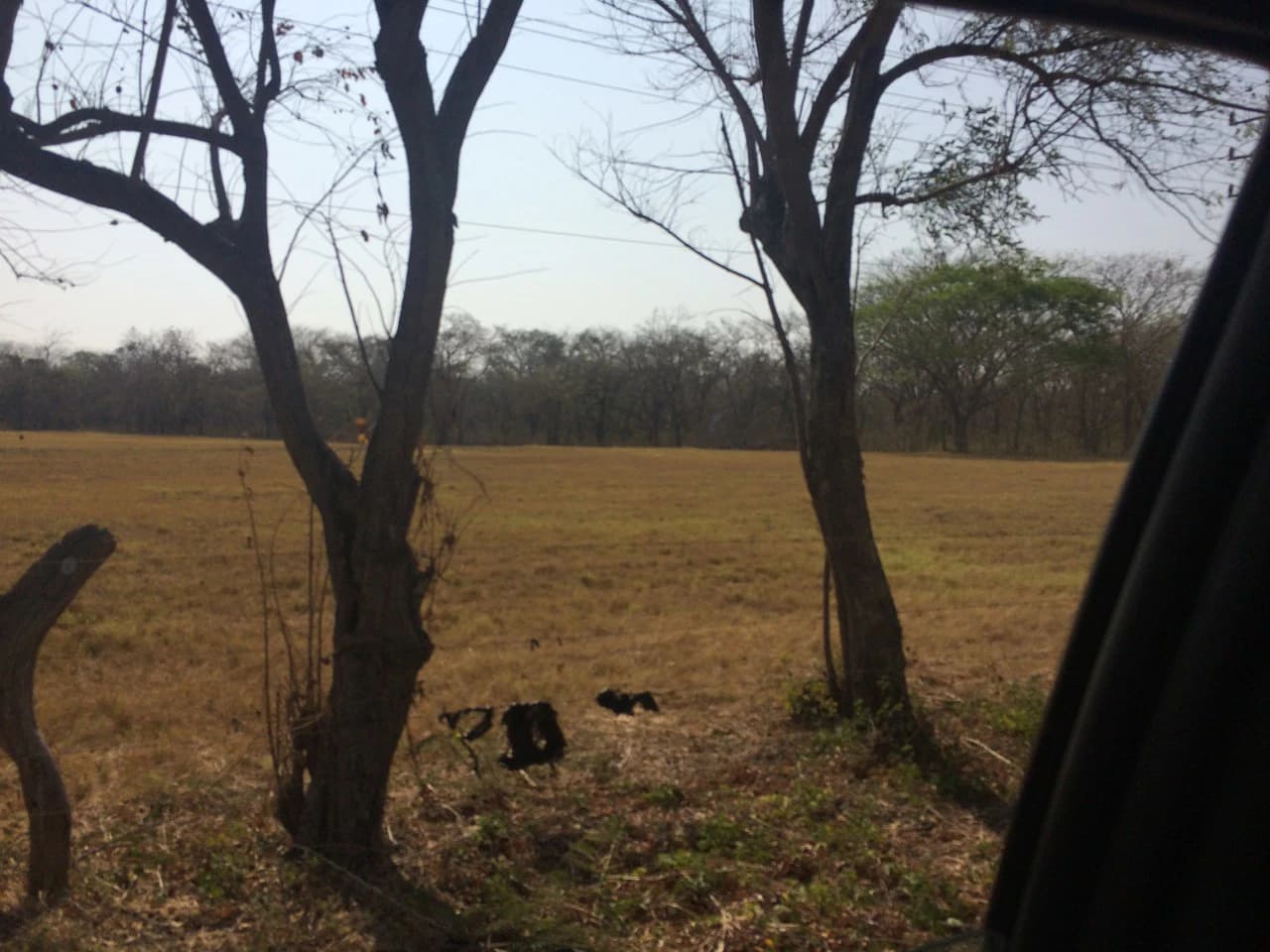 Lotes desde los 5 mil metros en Liberia Centro: Development Parcel For Sale in Liberia - photo 5