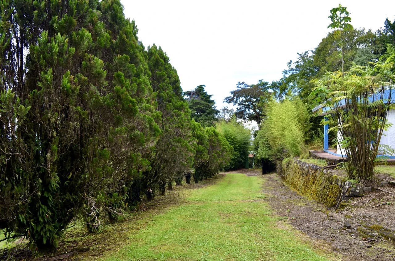 Farm for sale in Santa Barbara de Heredia - photo 7