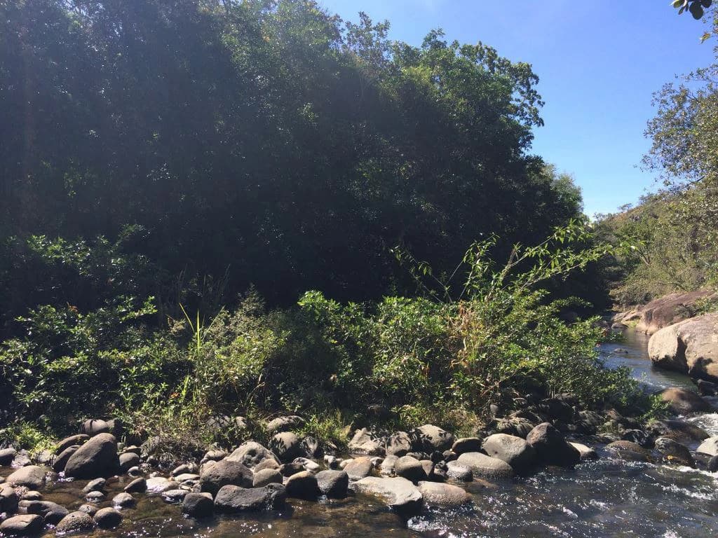 Large Property in Curubandé of Liberia - photo 11