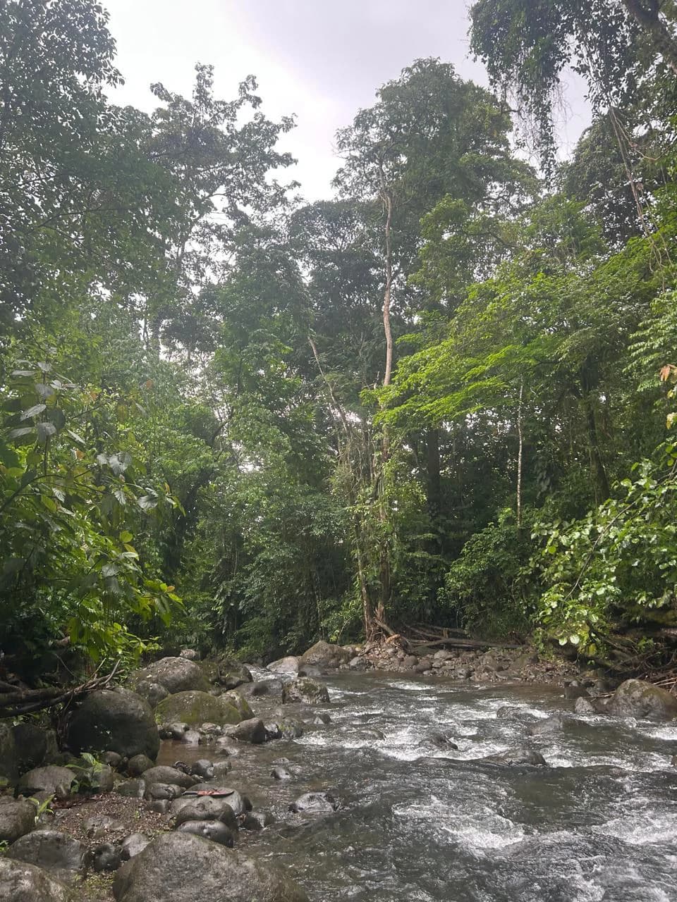 Incredible Building Lot: Riverfront Home Construction Site For Sale in Peñas Blancas - photo 9