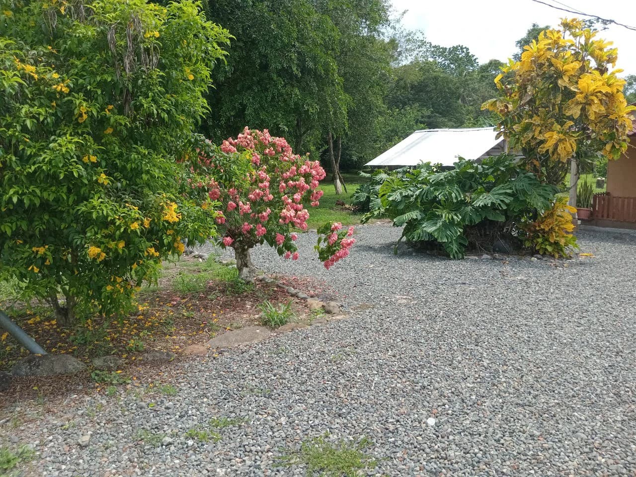 Farm home in Blanco: Ideal retirement farm at the foot of the rainforest - photo 5