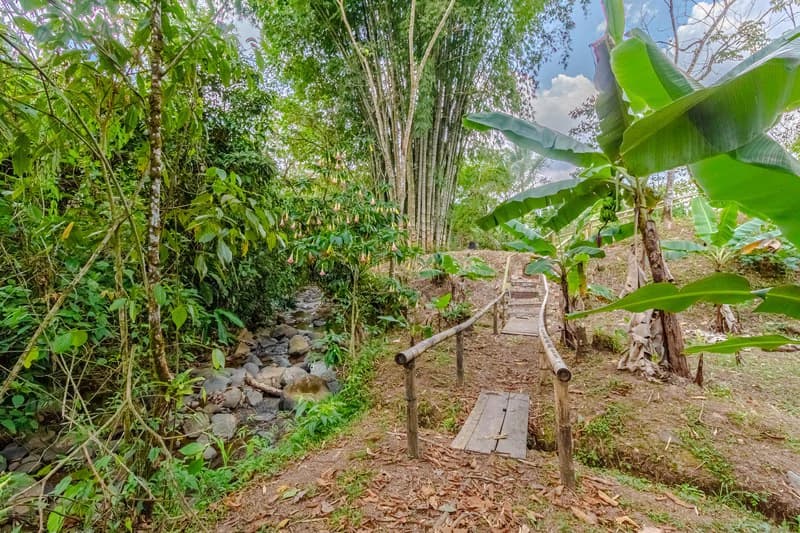 Casa San Pedrito: Beautiful house for sale in San Pedrito,(1,3hect) Perez Zeledon - photo 9