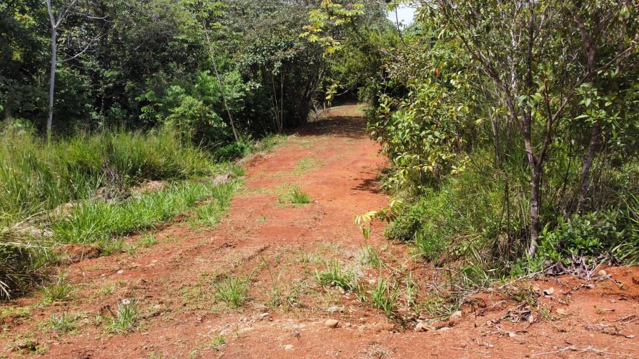 Se vende lote de 1000m2, ubicado cerca del colegio Aeropuerto Jerusalen, Perez Zeledon: Home Construction Site For Sale in Centro de Pérez Zeledón - photo 10