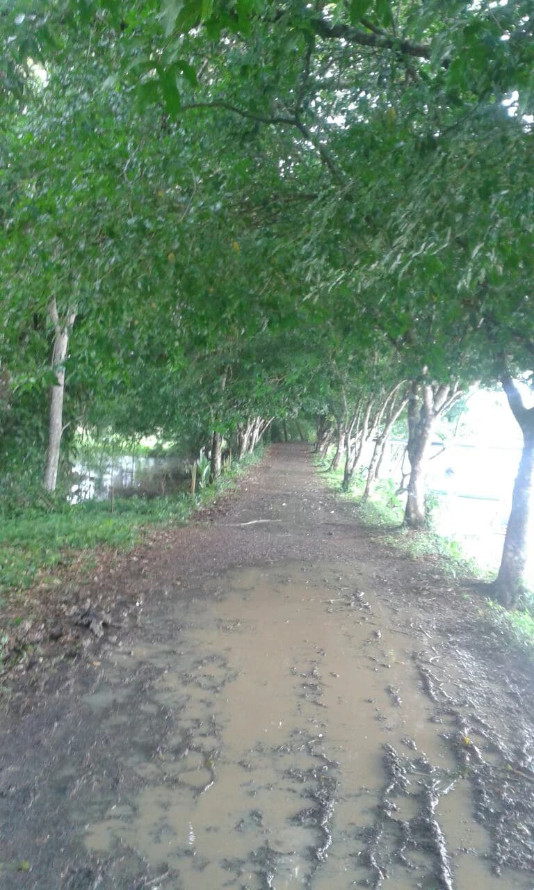 Propiedad grande: Countryside Home Construction Site For Sale in Caño Negro - photo 17
