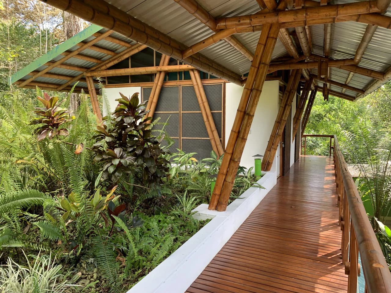 Jungle Beach Exotic Retreat - photo 18