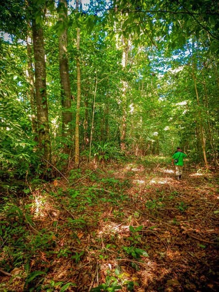 Ocean View & Primary forest 55-ha Rincon de Osa - photo 21