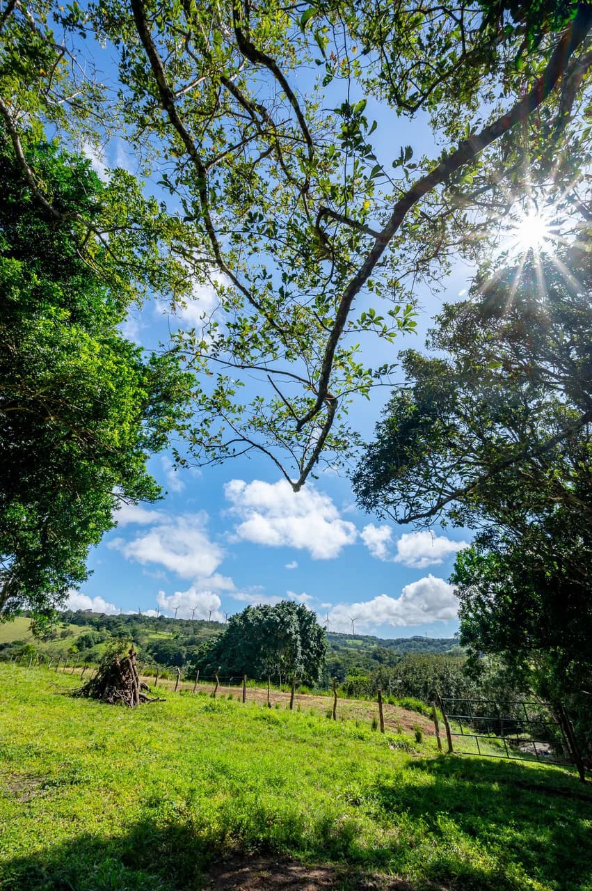 LA CABAÑA - 13+ ACRES & a TINY HOUSE & outstanding VIEWS - REDUCED PRICE - SELLER MOTIVATED - photo 48