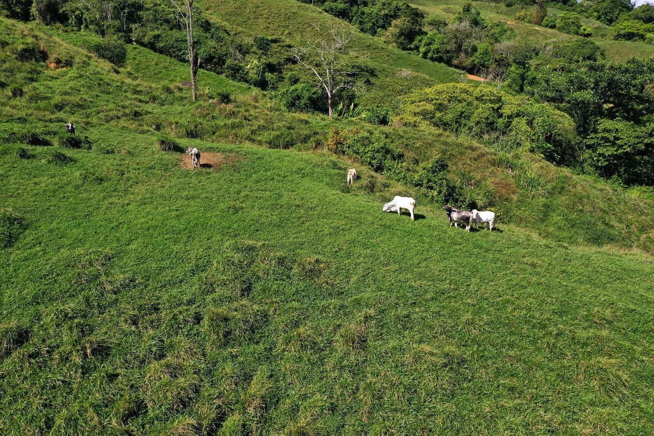 150 Acre Cattle Ranch with Panoramic Views Above the mountains of Uvita - photo 27