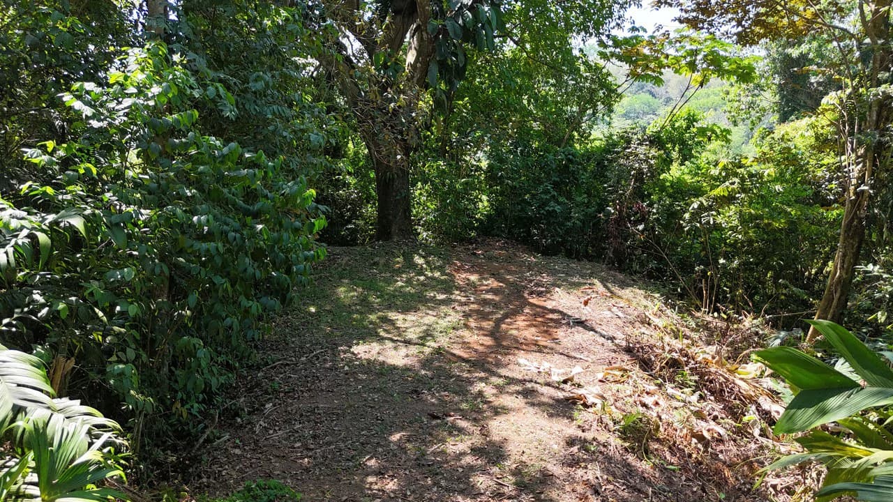 Exceptional Development Opportunity 71 acre Riverfront & Ocean View in Hatillo - photo 27