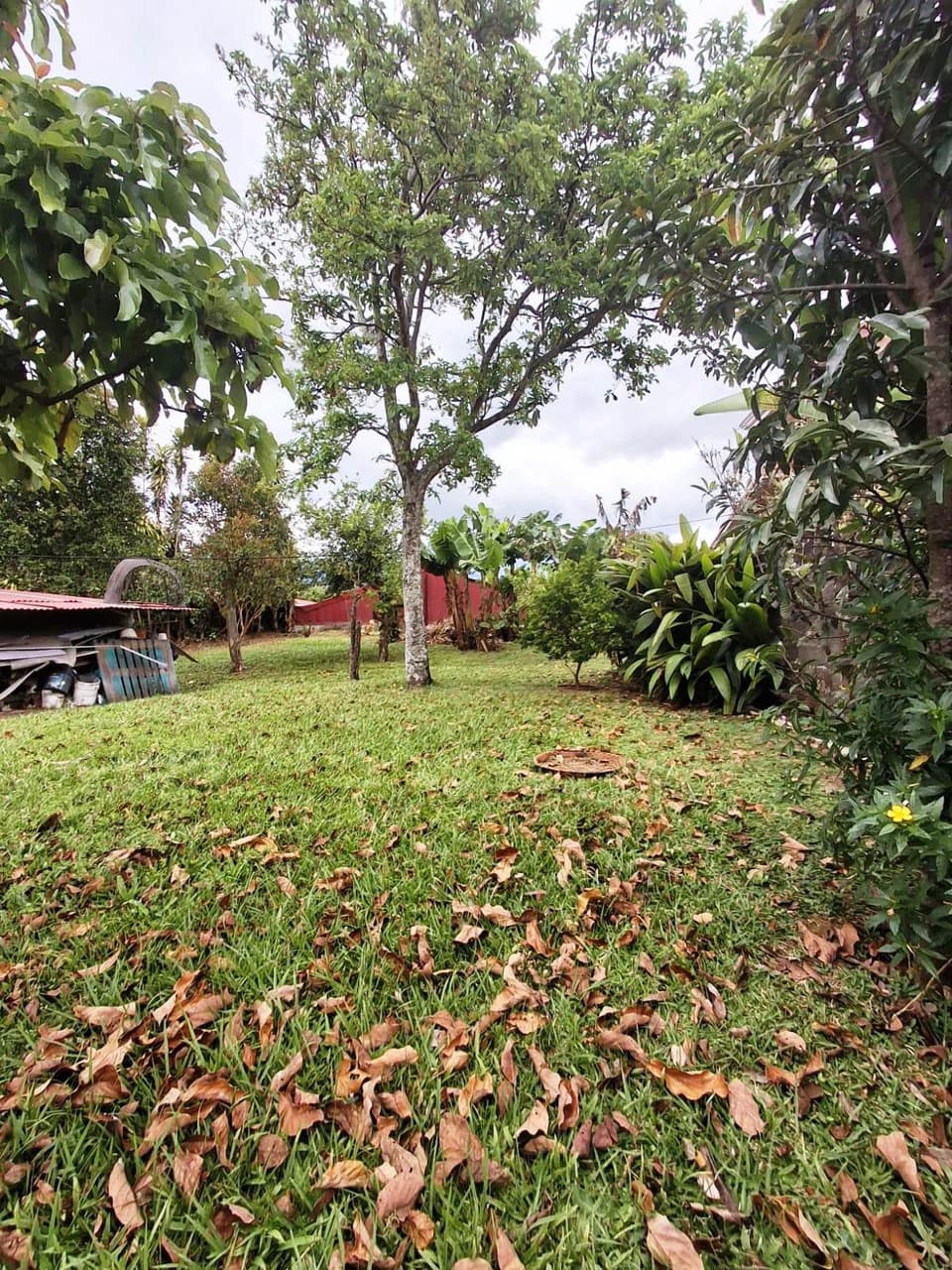Casa Convenience: Grecia Garden Home on Large Lot + Rental Apartment! - photo 16