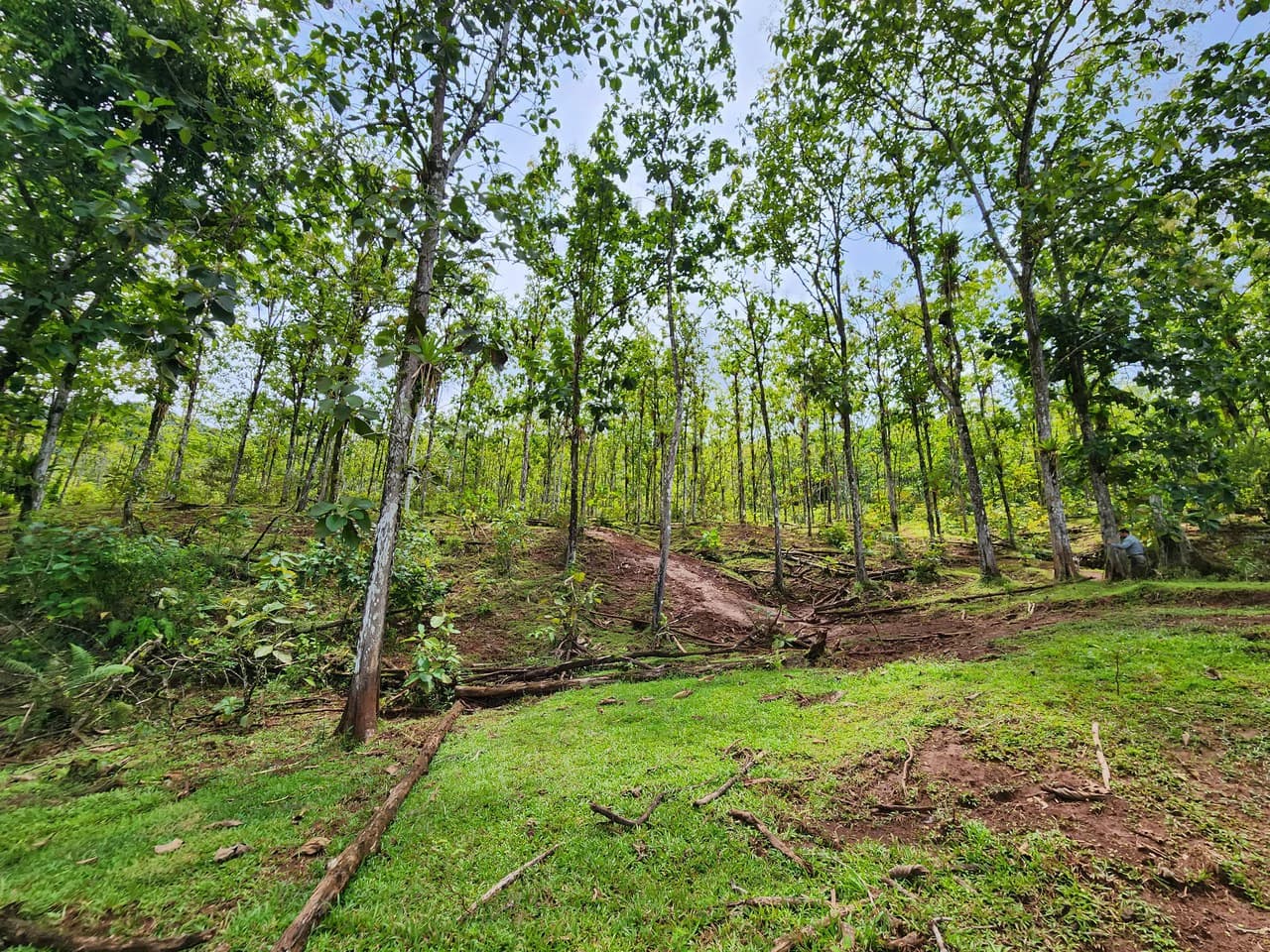 PRIME PARRITA FARM FOR SALE - photo 30
