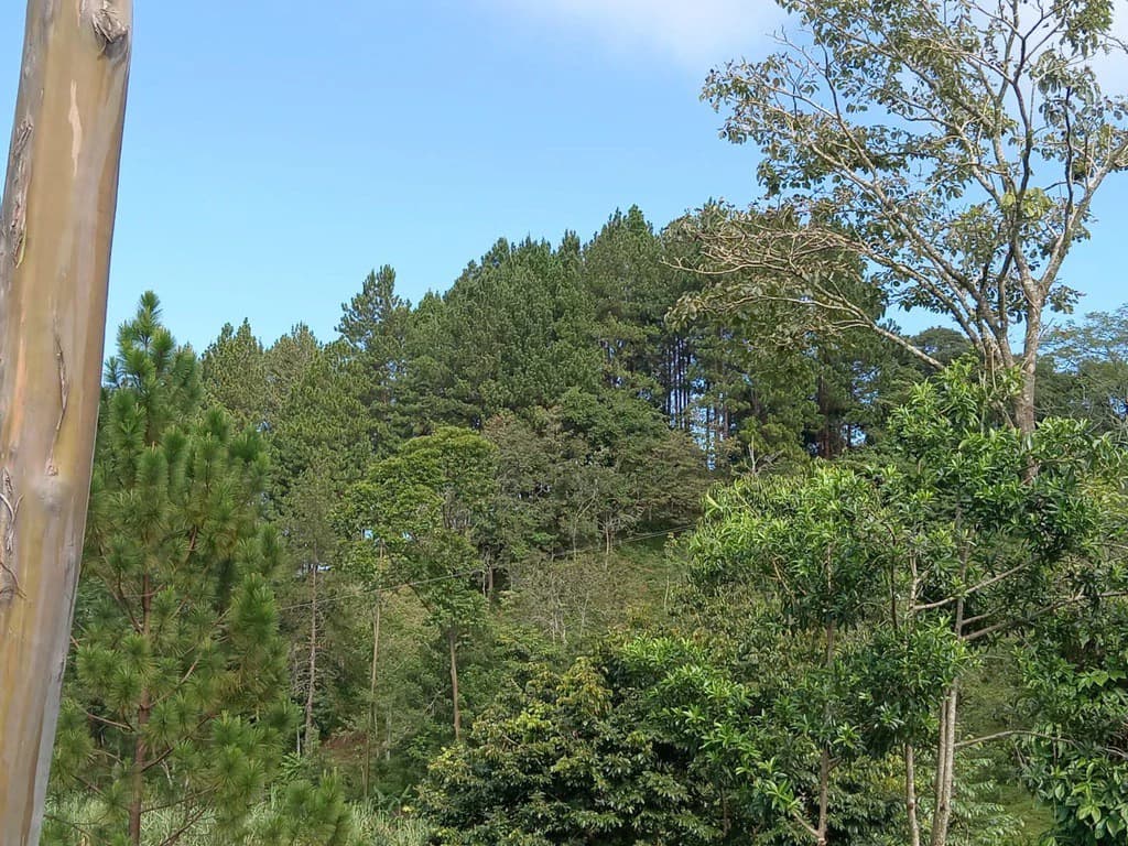 CAPTIVATING OCEAN AND PANORAMIC MOUNTAIN VIEW FINCA IN PURISCAL - photo 2