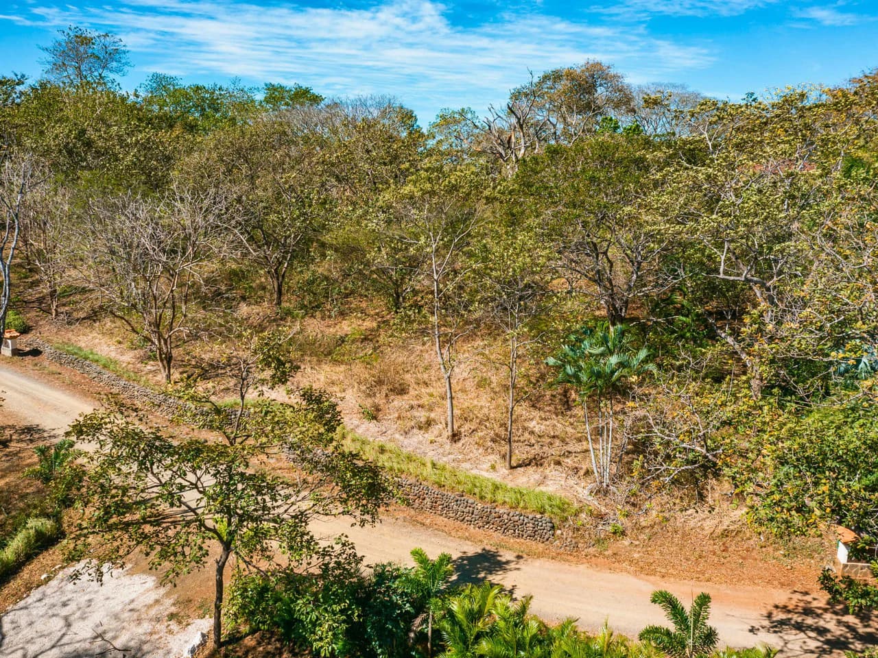 Tierra Pacifica #9: Secluded Lot in Gated Eco Community - photo 7