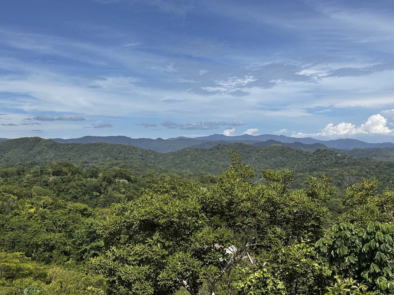 Ocean View Lot Negra Beach: Ocean View Hilltop Lot In Negra Beach, Finca Los Pargos - photo 9