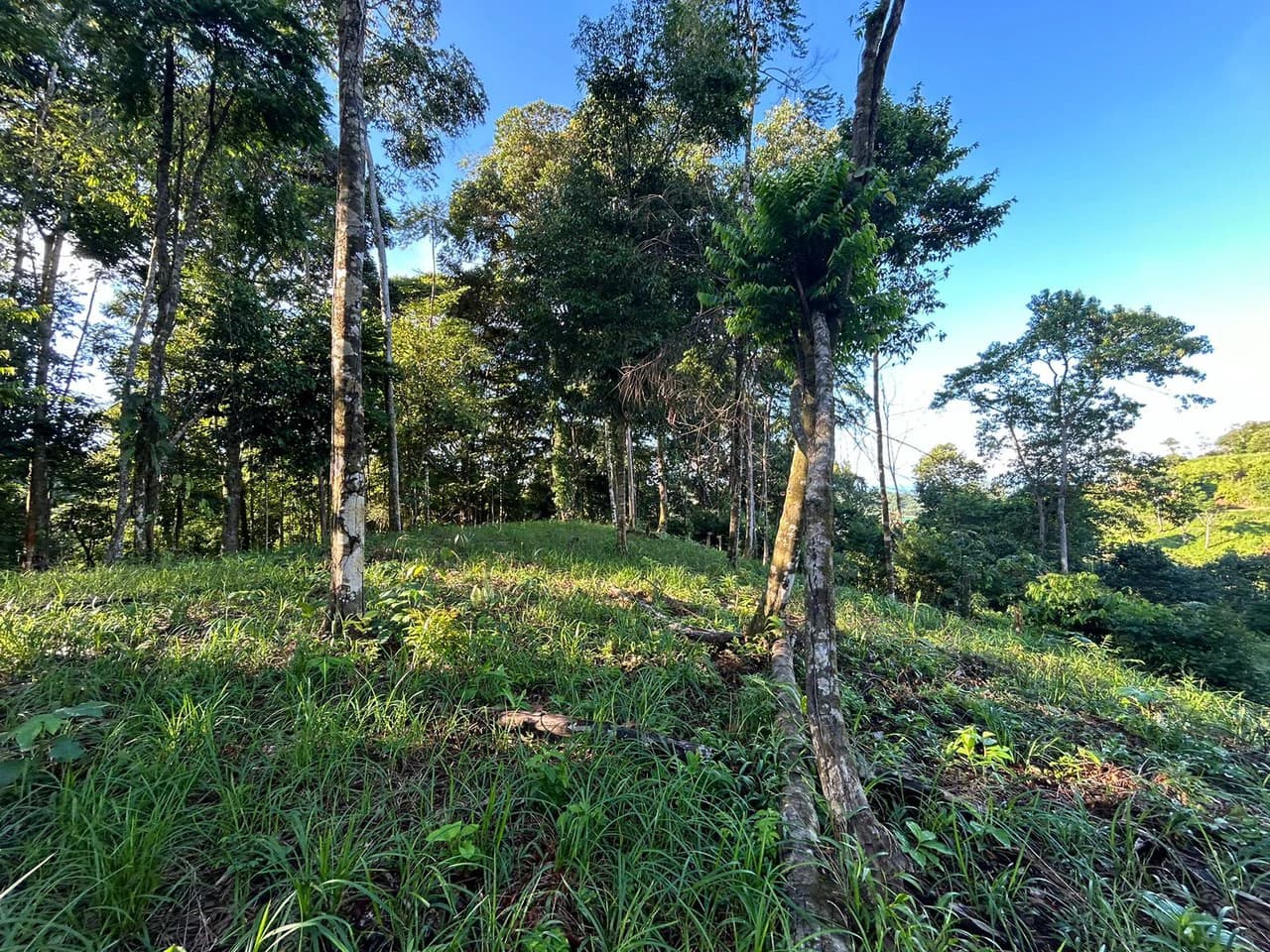 Marvelous Ocean View Parcel in Uvita. - photo 28